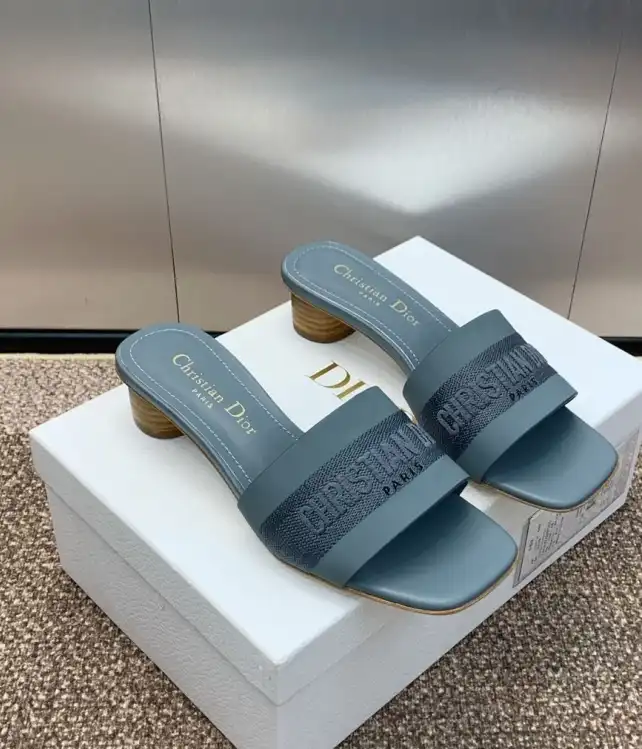 hype Christian Dior Slippers