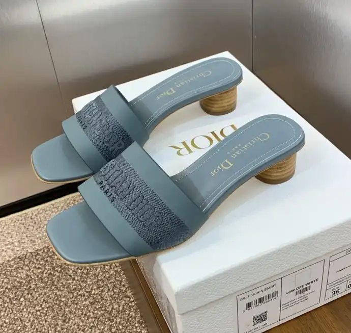 hype Christian Dior Slippers