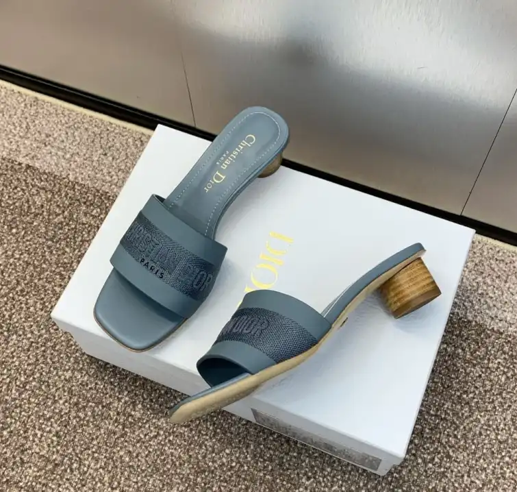 hype Christian Dior Slippers