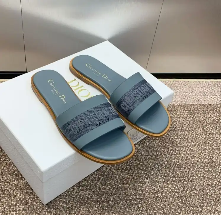 hype Christian Dior Slippers