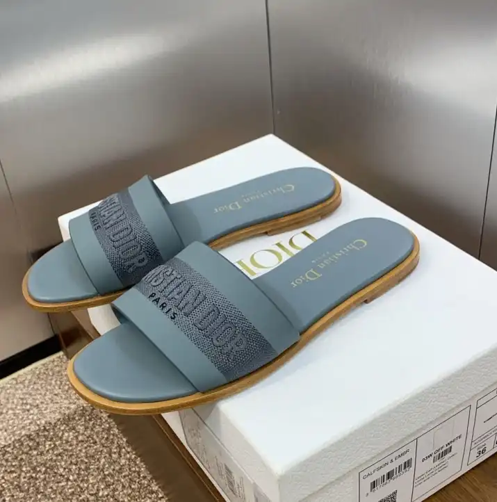 hype Christian Dior Slippers