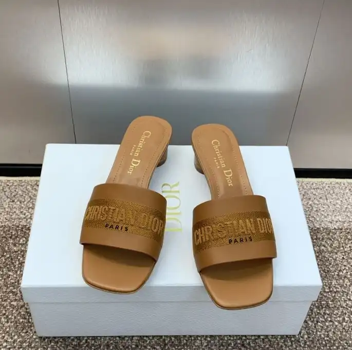 hype Christian Dior Slippers