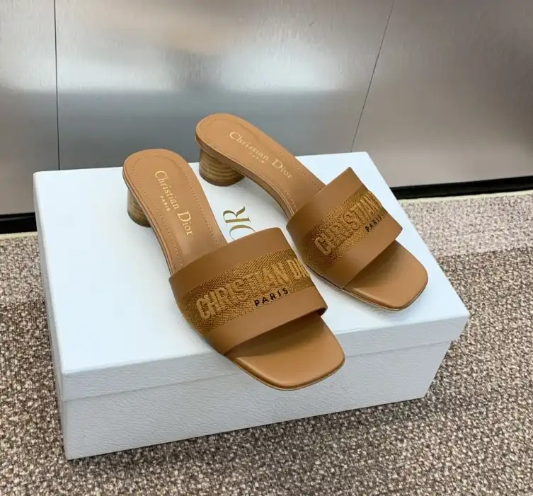 hype Christian Dior Slippers