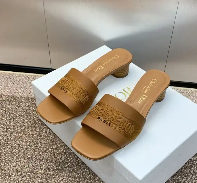 hype Christian Dior Slippers