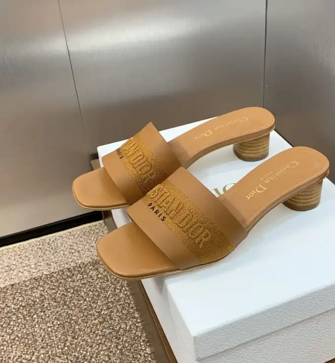 hype Christian Dior Slippers