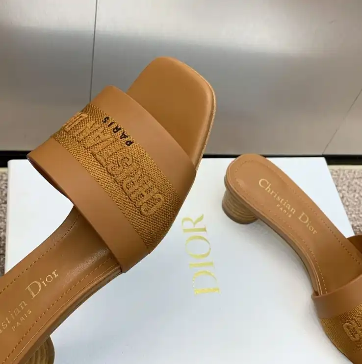 hype Christian Dior Slippers