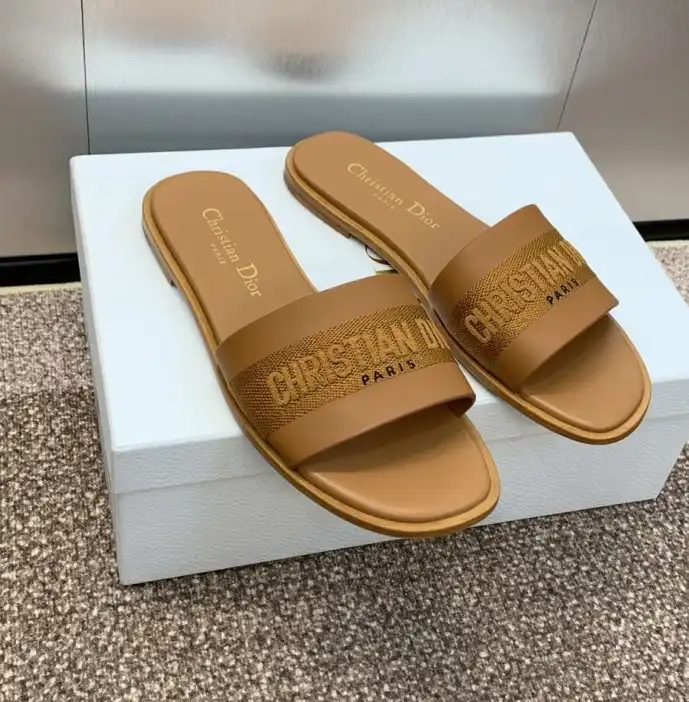 hype Christian Dior Slippers