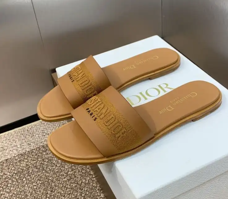 hype Christian Dior Slippers