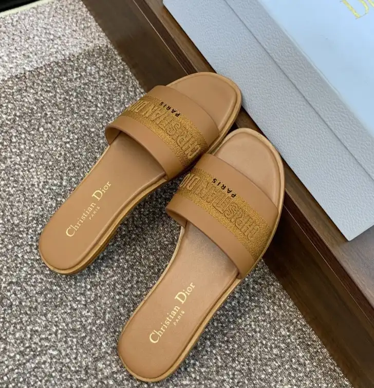 hype Christian Dior Slippers