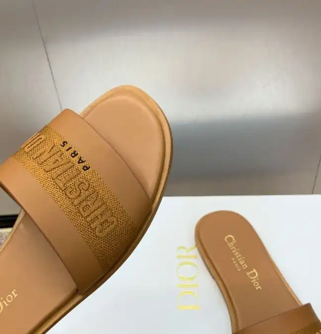 hype Christian Dior Slippers