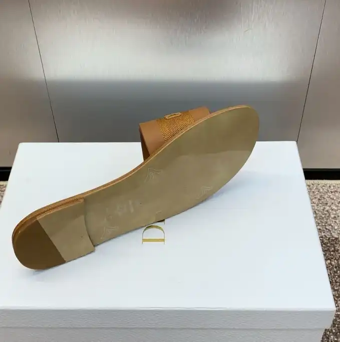 hype Christian Dior Slippers