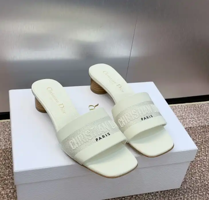 hype Christian Dior Slippers