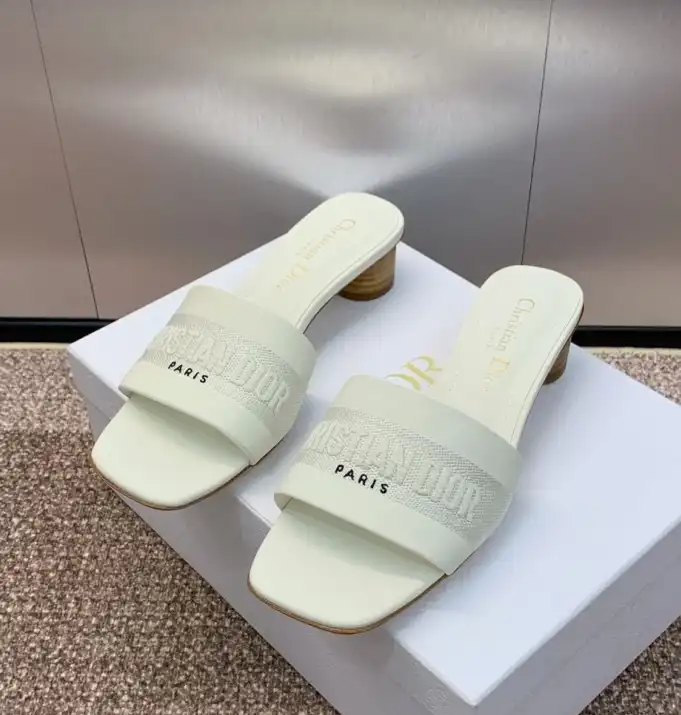 hype Christian Dior Slippers