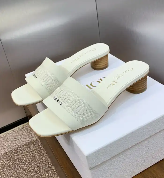 hype Christian Dior Slippers