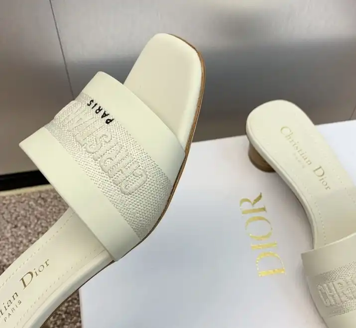 hype Christian Dior Slippers