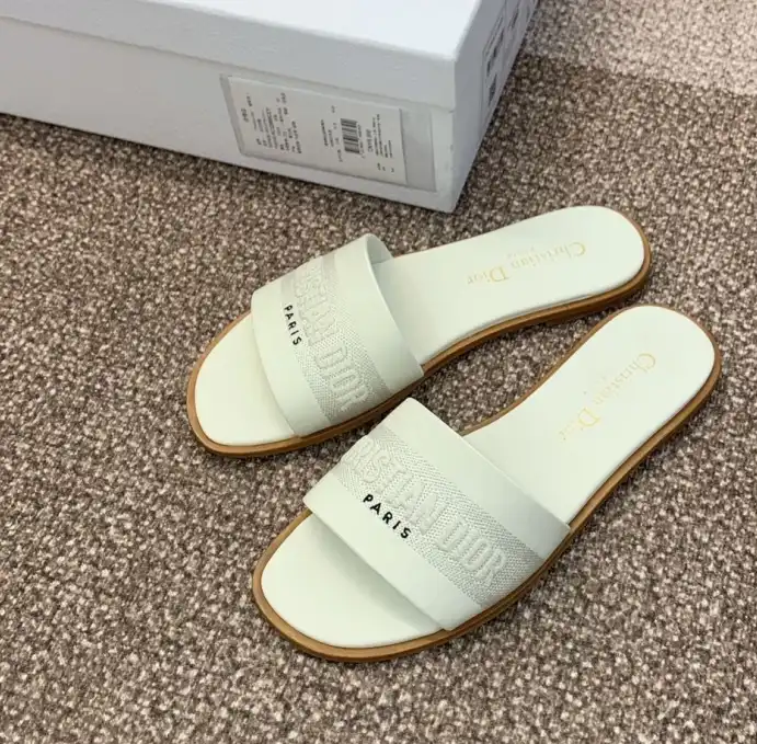 hype Christian Dior Slippers