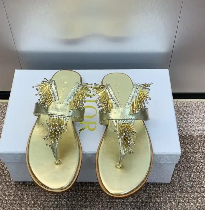 hype Christian Dior Slippers