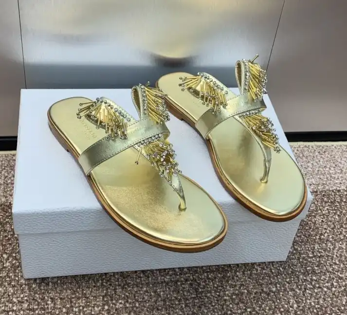 hype Christian Dior Slippers