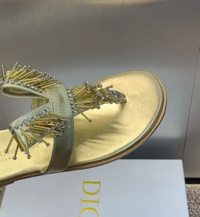 hype Christian Dior Slippers