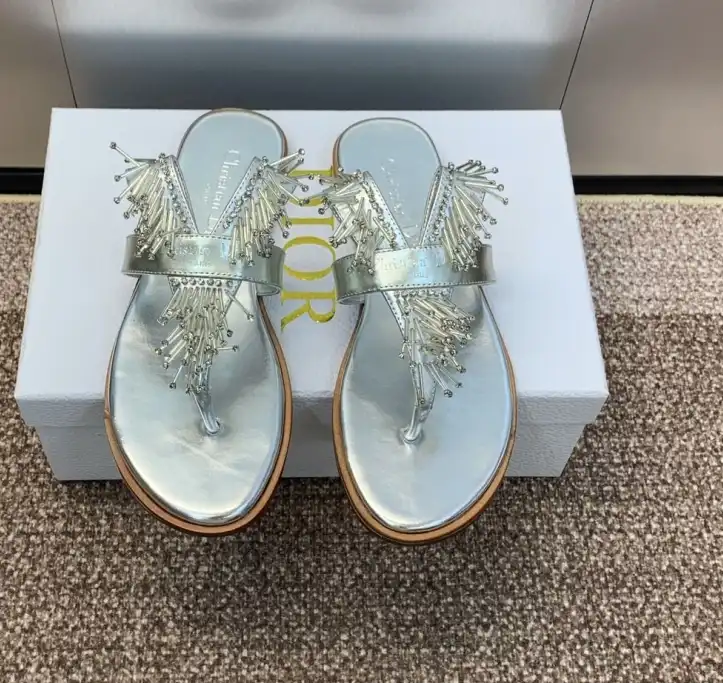 hype Christian Dior Slippers