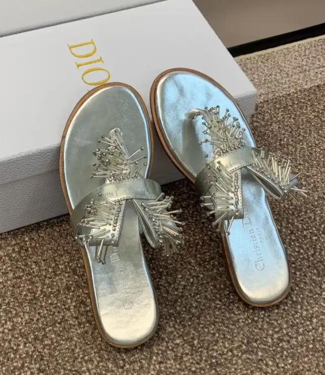 hype Christian Dior Slippers