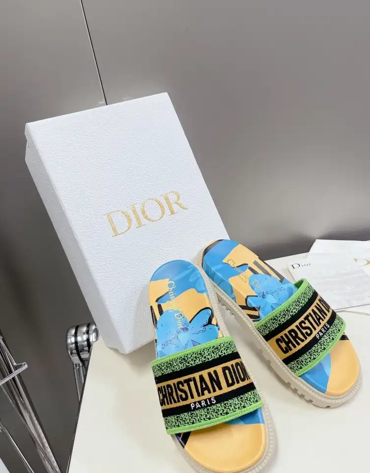 hype Christian Dior Slippers