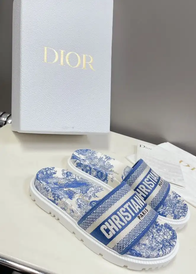 hype Christian Dior Slippers