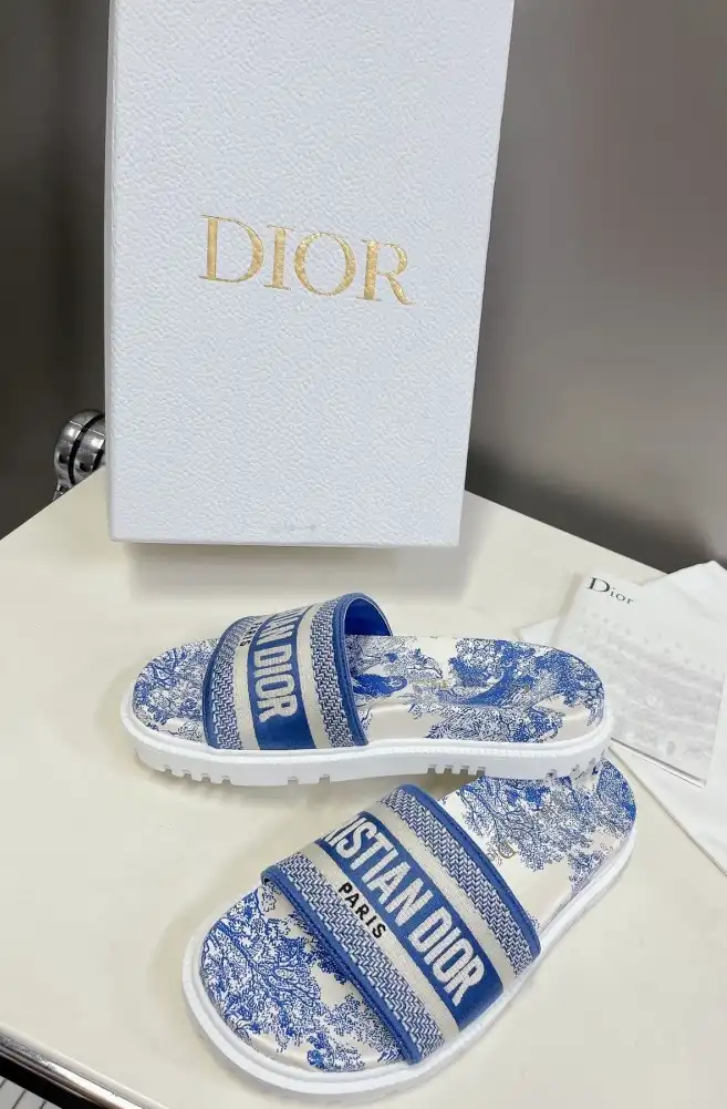 hype Christian Dior Slippers