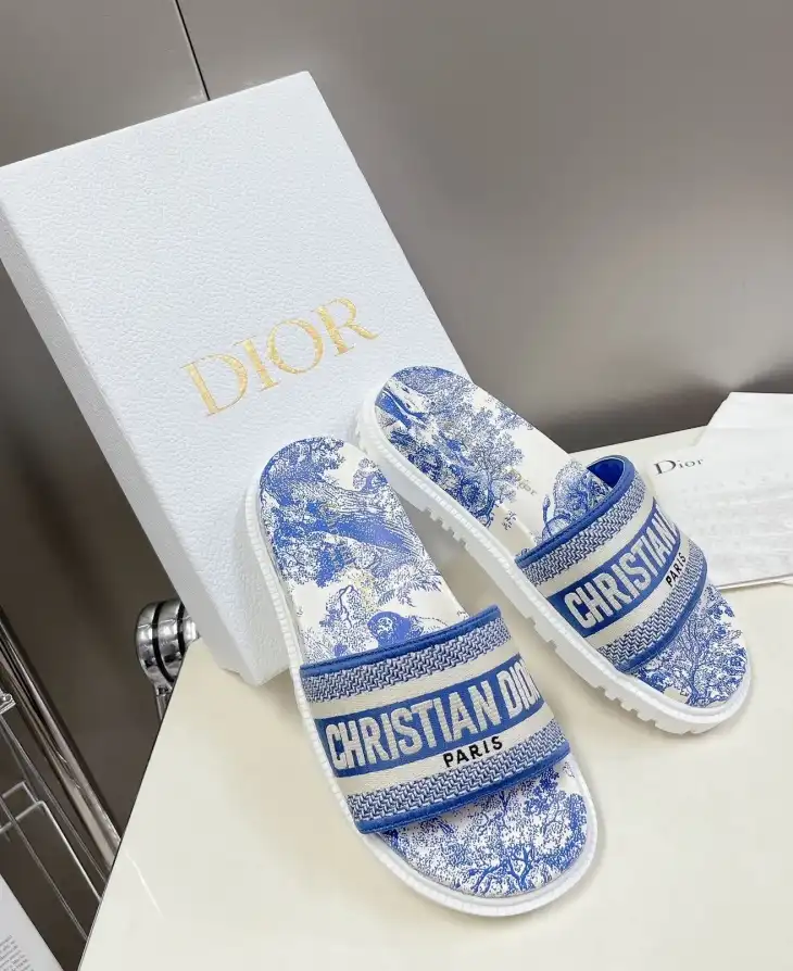 hype Christian Dior Slippers