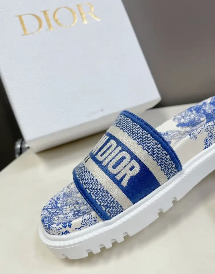 hype Christian Dior Slippers