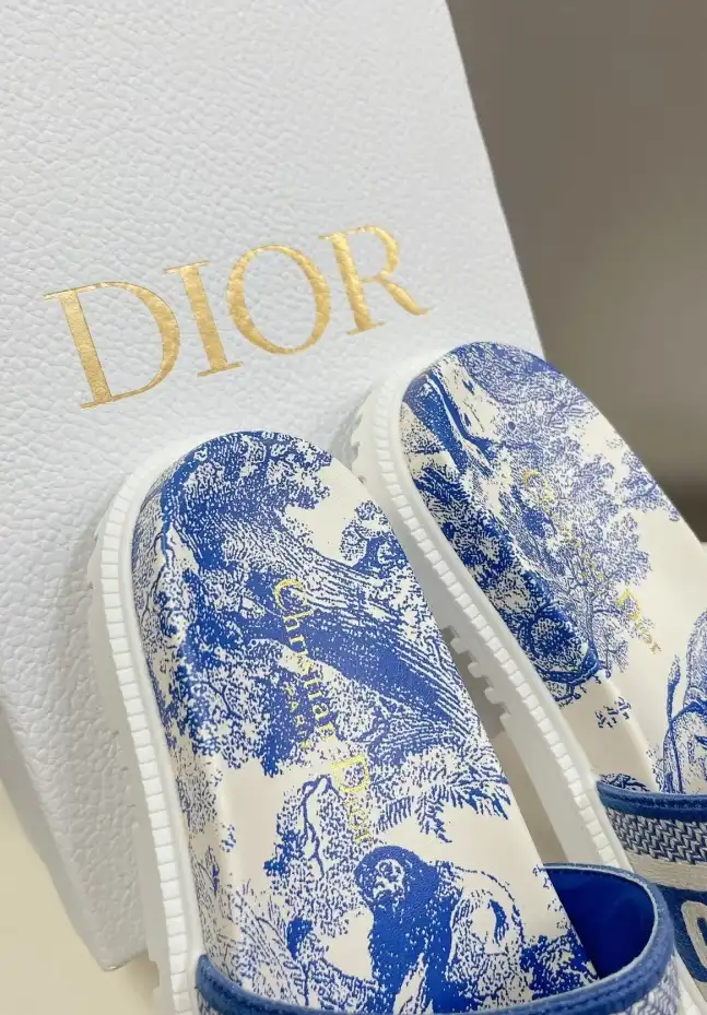 hype Christian Dior Slippers