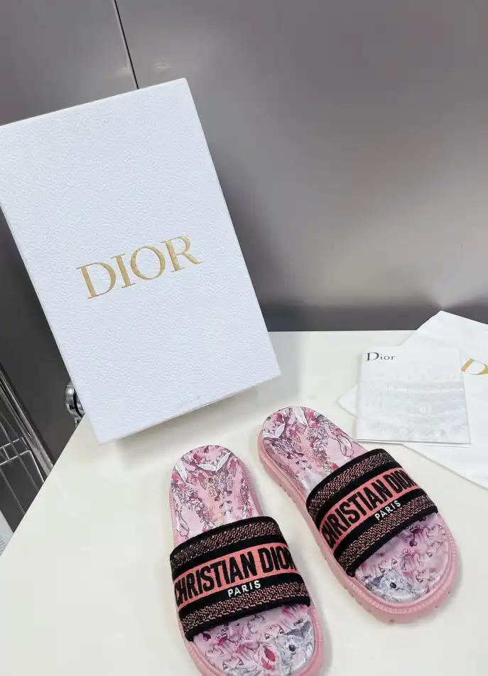 hype Christian Dior Slippers