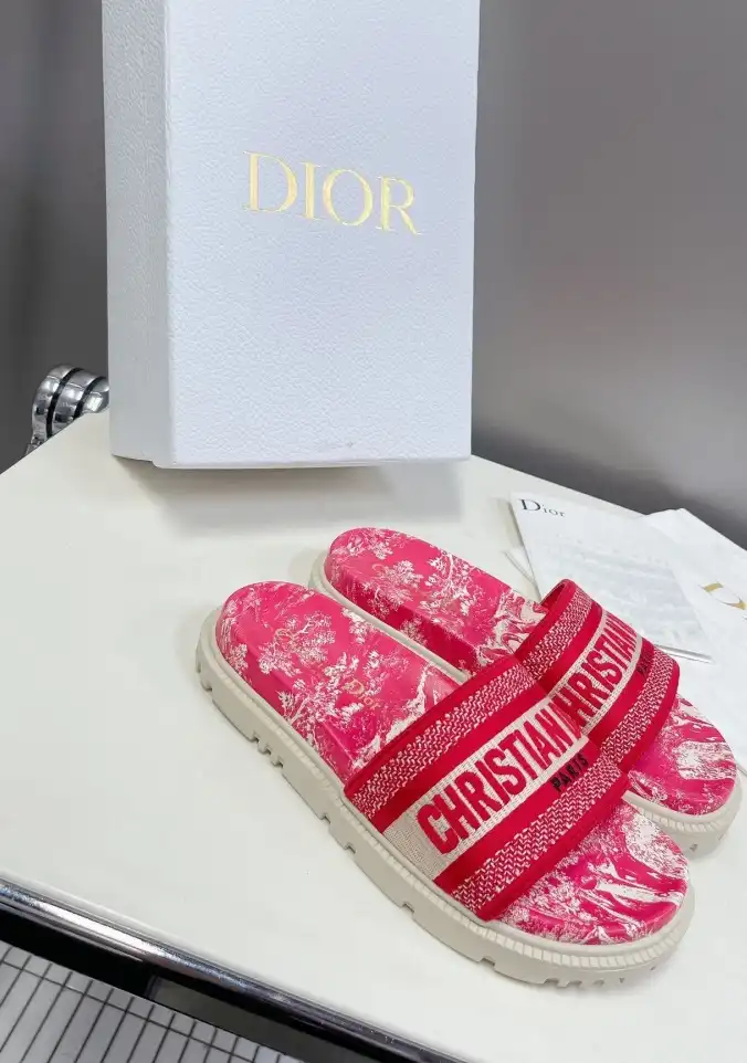 hype Christian Dior Slippers