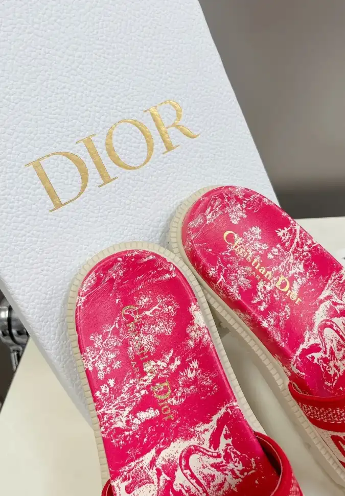 hype Christian Dior Slippers