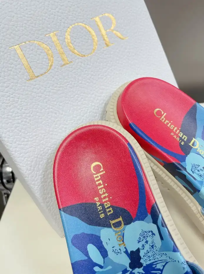 hype Christian Dior Slippers