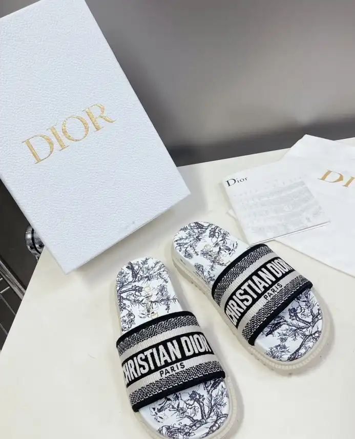 hype Christian Dior Slippers