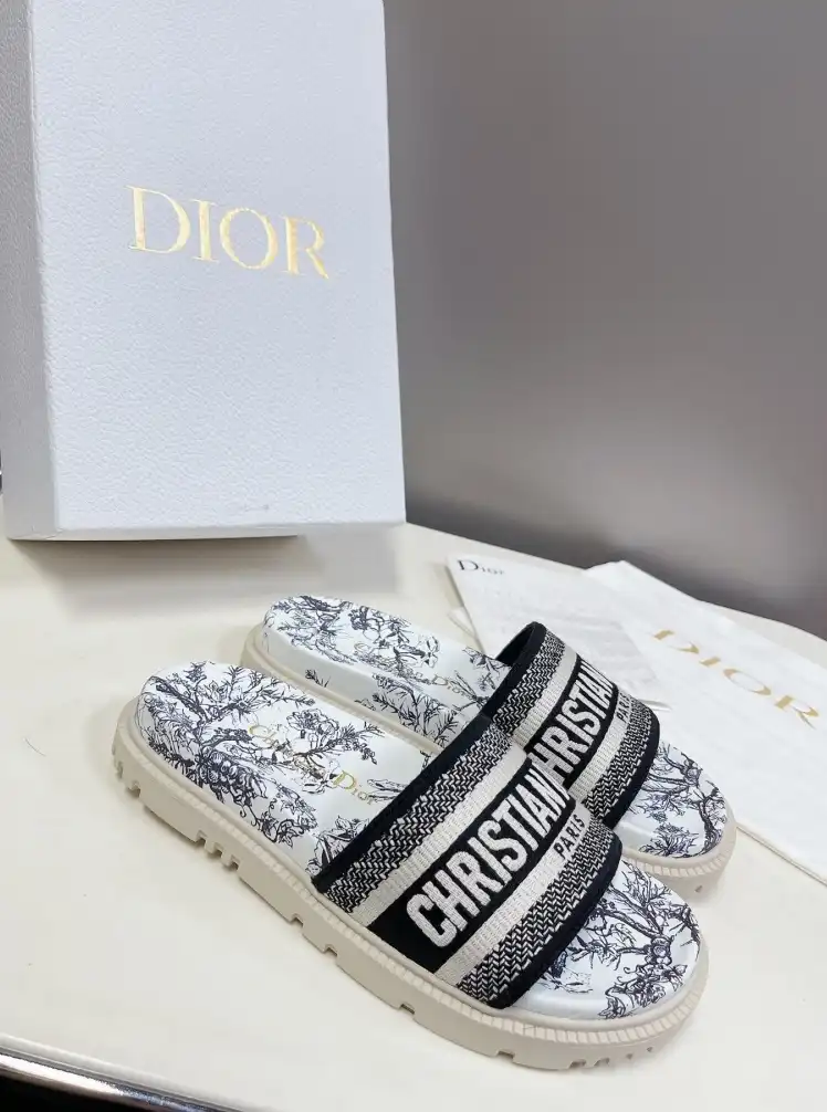 hype Christian Dior Slippers