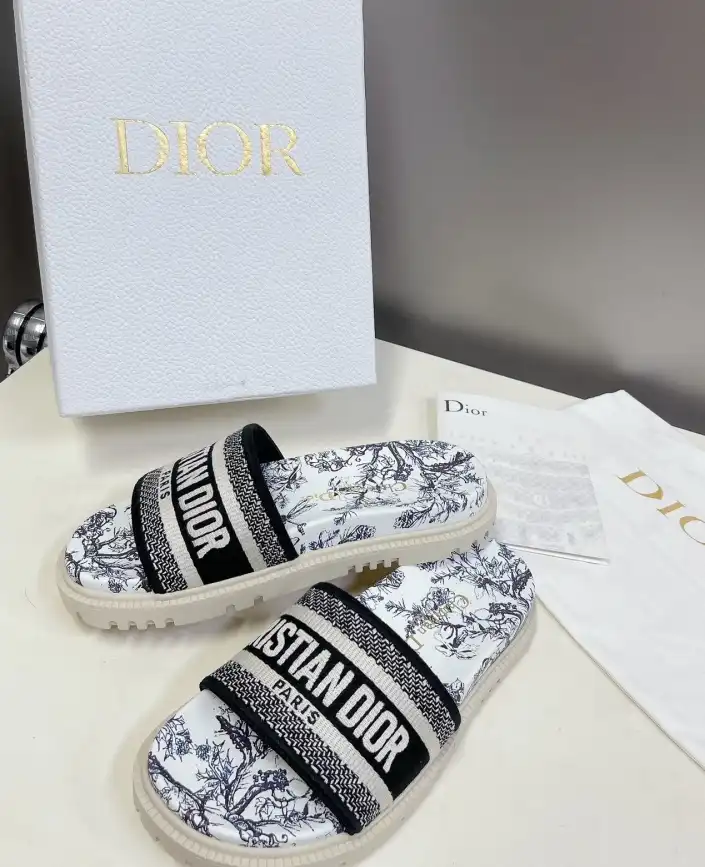 hype Christian Dior Slippers