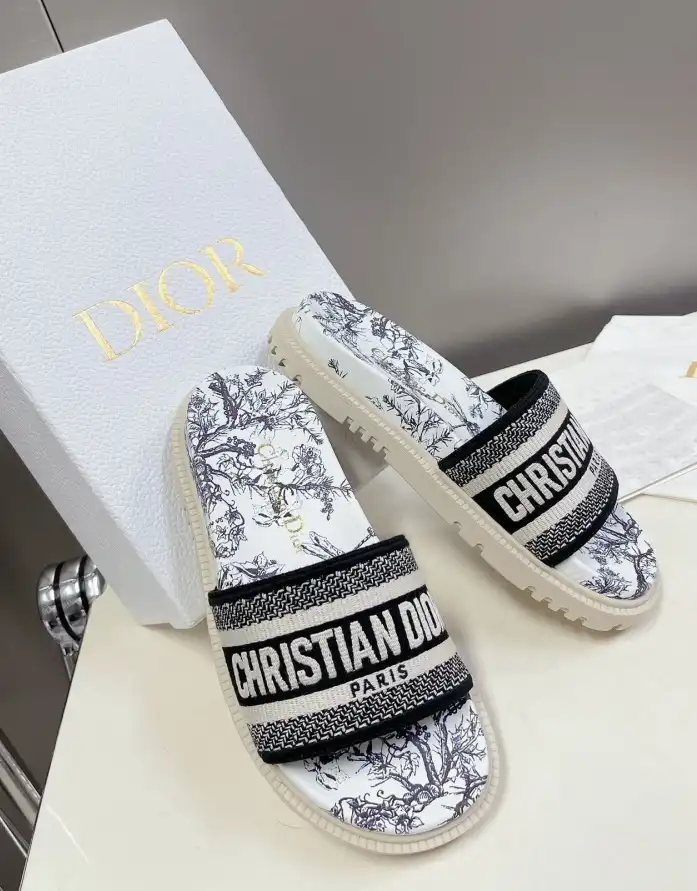 hype Christian Dior Slippers