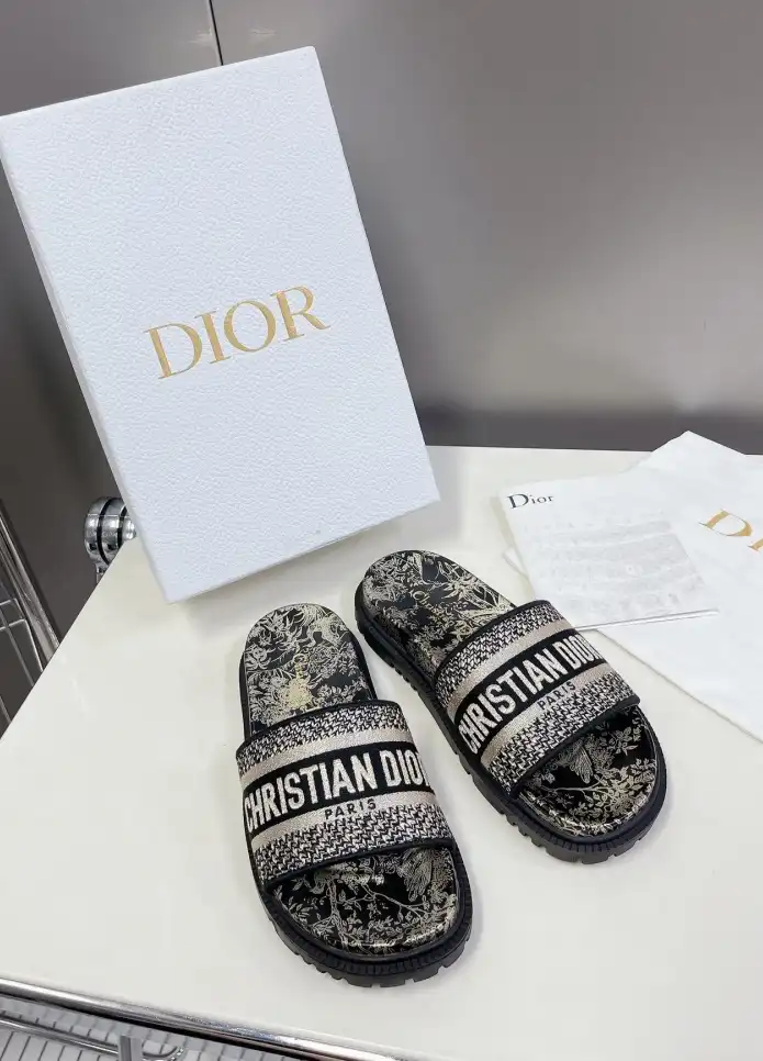 hype Christian Dior Slippers