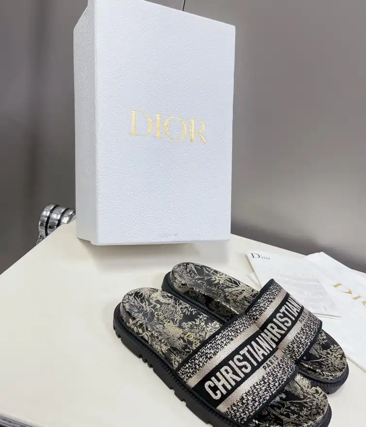 hype Christian Dior Slippers