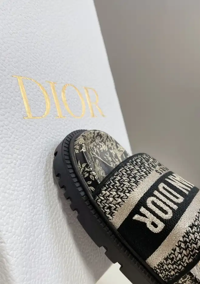 hype Christian Dior Slippers