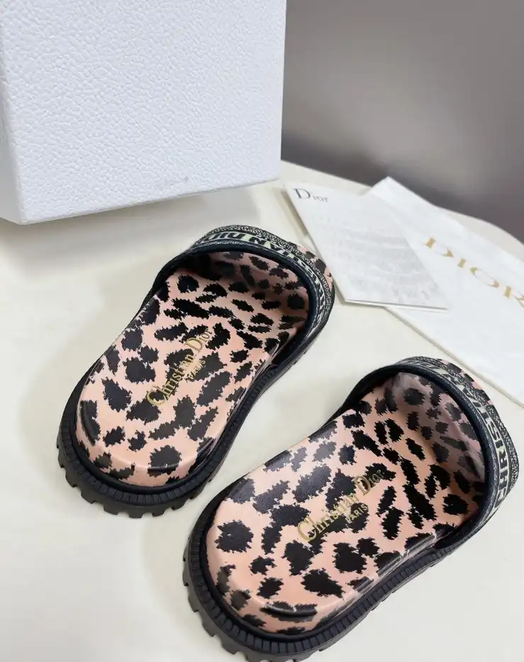 hype Christian Dior Slippers