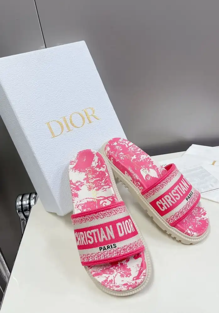 hype Christian Dior Slippers