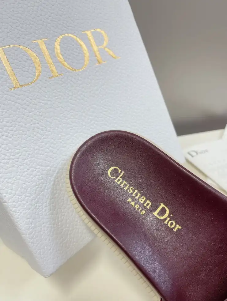 hype Christian Dior Slippers