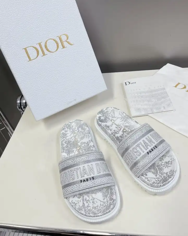 hype Christian Dior Slippers