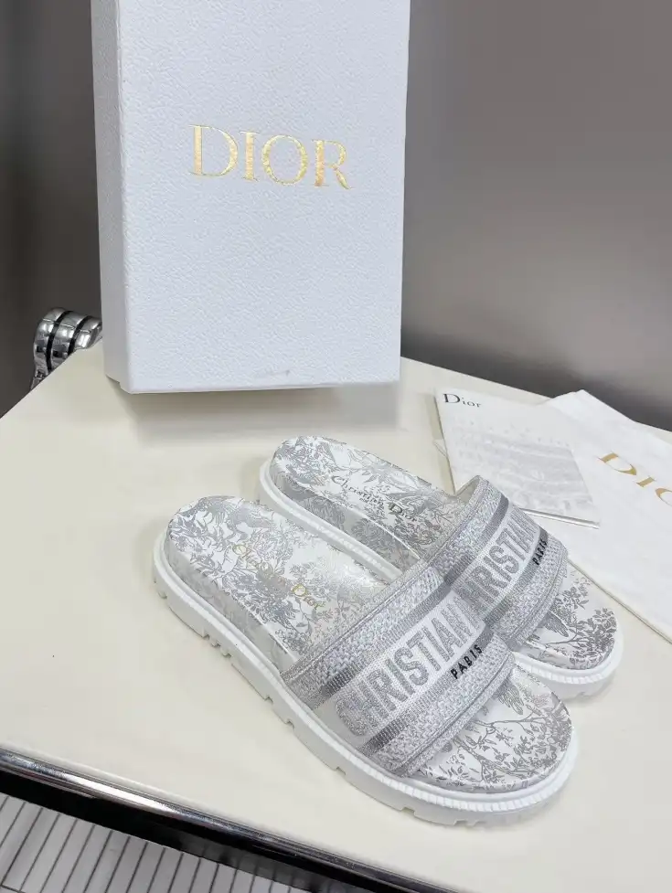 hype Christian Dior Slippers