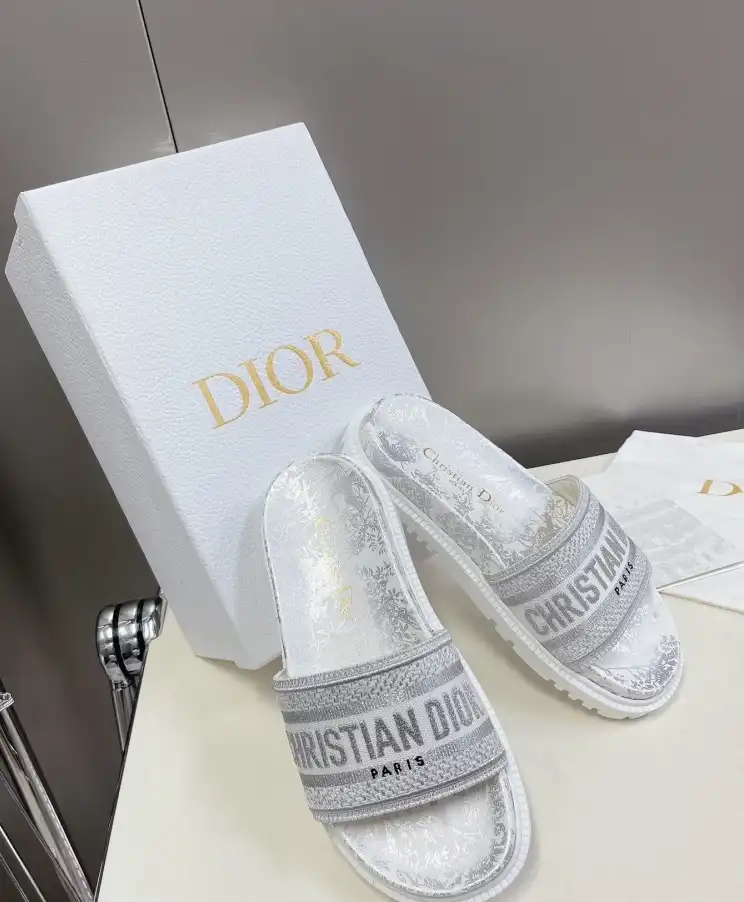 hype Christian Dior Slippers