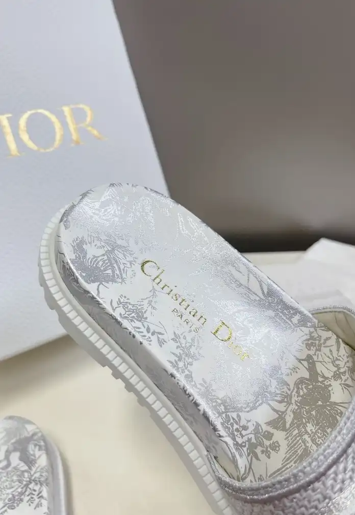 hype Christian Dior Slippers