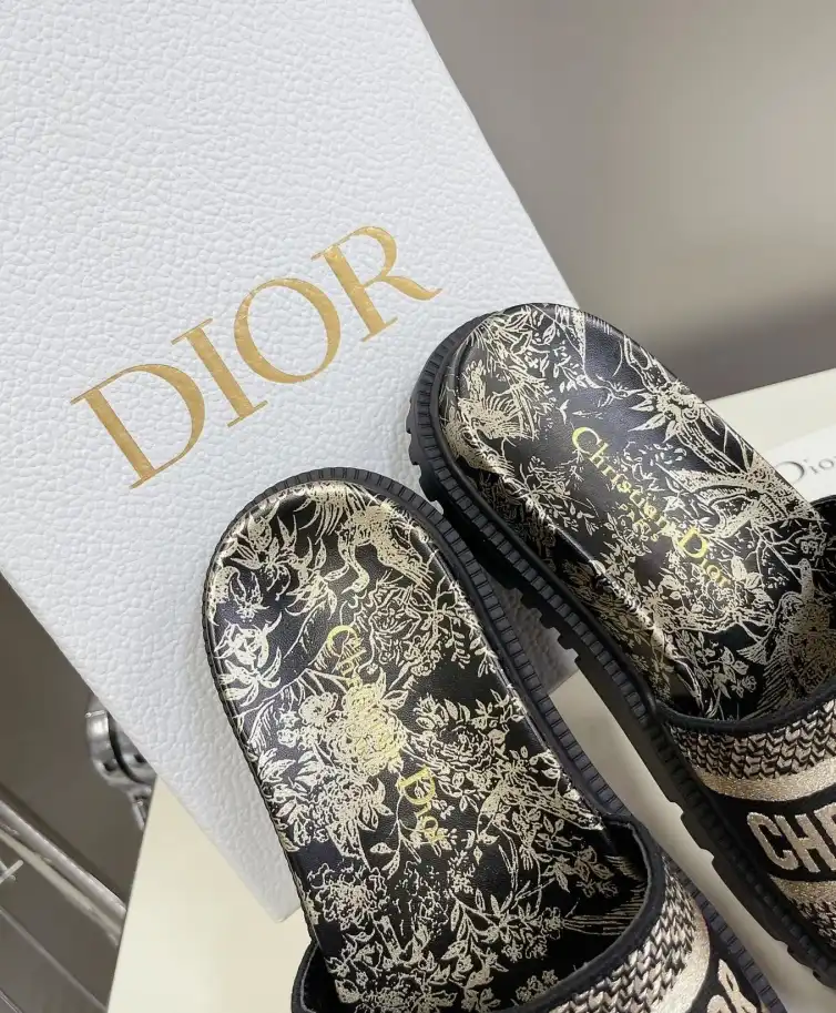 hype Christian Dior Slippers